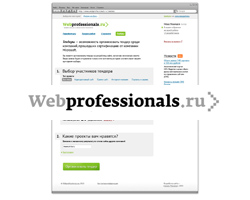 Webprofessionals.ru, 